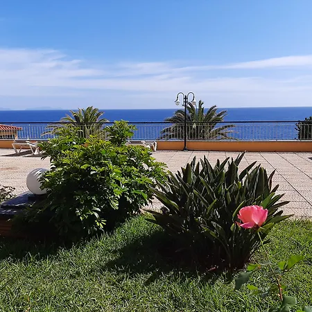 Cais Da Oliveira Canico (Madeira)