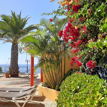 Cais Da Oliveira Canico (Madeira)